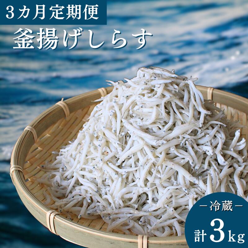 [3カ月定期便]釜揚げしらす(ご家庭用)計3kg(1kg×3回)※北海道・沖縄・離島配送不可 / しらす丼 丼ぶり シラス 家庭用 冷蔵 お取り寄せ 和歌山県 田辺市