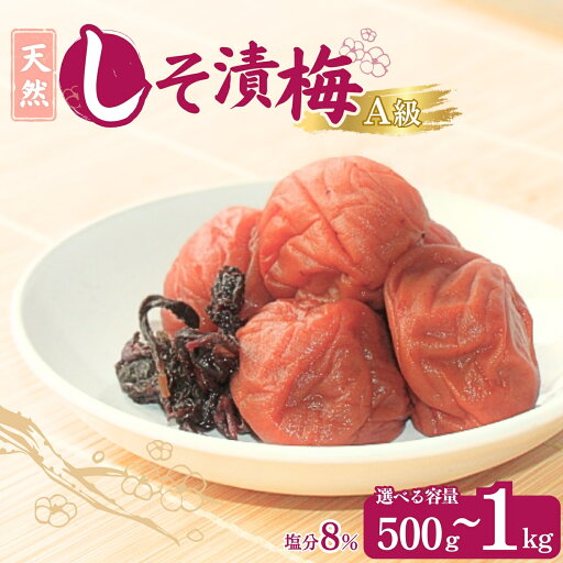 【ふるさと納税】天然しそ 漬梅【選べる容量500g~1kg】塩分8% / 田辺市 紀州南高梅 南高梅 梅干し 梅干 梅 うめ 肉厚 しそ漬梅 しそ 紫蘇 【ふるさと納税】天然しそ 漬梅【選べる容量500g~1kg】塩分8% / 田辺市 紀州南高梅 南高梅 梅干し 梅干 梅 うめ 肉厚 しそ漬梅 しそ 紫蘇
