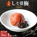 【ふるさと納税】天然 しそ漬梅【GOLD】塩分8%【選べる容量500g~1kg】 / 田辺市 紀州南高梅 南高梅 梅干し 梅干 梅 うめ 肉厚 しそ漬梅 しそ 紫蘇 贈答