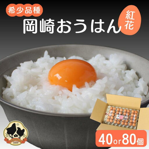【ふるさと納税】希少品種 岡崎おうはん 紅花の卵【選べる容量40個 80個】(冷蔵配送) / 田辺市 卵 たまご 有精卵 純国産鶏 鶏卵 平飼い お取り寄せ 卵かけごはん 和歌山県 【ふるさと納税】希少品種 岡崎おうはん 紅花の卵【選べる容量40個 80個】(冷蔵配送) / 田辺市 卵 たまご 有精卵 純国産鶏 鶏卵 平飼い お取り寄せ 卵かけごはん 和歌山県