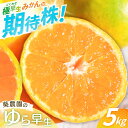 【ふるさと納税】【先行予約】極早生みかん ゆら早生 【秀品】 5kg(サイズ混合)【2025年10月より順次発送】 / みかん ミカン 蜜柑 和歌山 早生 温州 田辺市 紀州 くだもの 柑橘 フルーツ