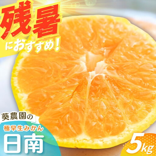 【ふるさと納税】【先行予約】 【秀品】 極早生みかん 日南 5kg(サイズ混合) ※2025年10月より順次発送 / みかん ミカン 蜜柑 和歌山 早生 極早生 日南 温州 田辺市 紀州 くだもの 柑橘 フルーツ 【ふるさと納税】【先行予約】 【秀品】 極早生みかん 日南 5kg(サイズ混合) ※2025年10月より順次発送 / みかん ミカン 蜜柑 和歌山 早生 極早生 日南 温州 田辺市 紀州 くだもの 柑橘 フルーツ