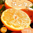 【ふるさと納税】【先行予約】ポンカン 【秀品】 4kg (サイズ混合) 【2026年1月より順次発送】 / みかん ミカン 蜜柑 ポンカン 和歌山 田辺市 紀州 くだもの 柑橘 フルーツ