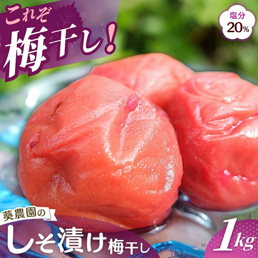 紀州南高梅 しそ漬け梅 1kg 塩分20% 添加物不使用 / 梅 うめ ウメ 梅干し 梅干 しそ シソ しそ漬け 南高梅 紀州南高梅 和歌山県 田辺市