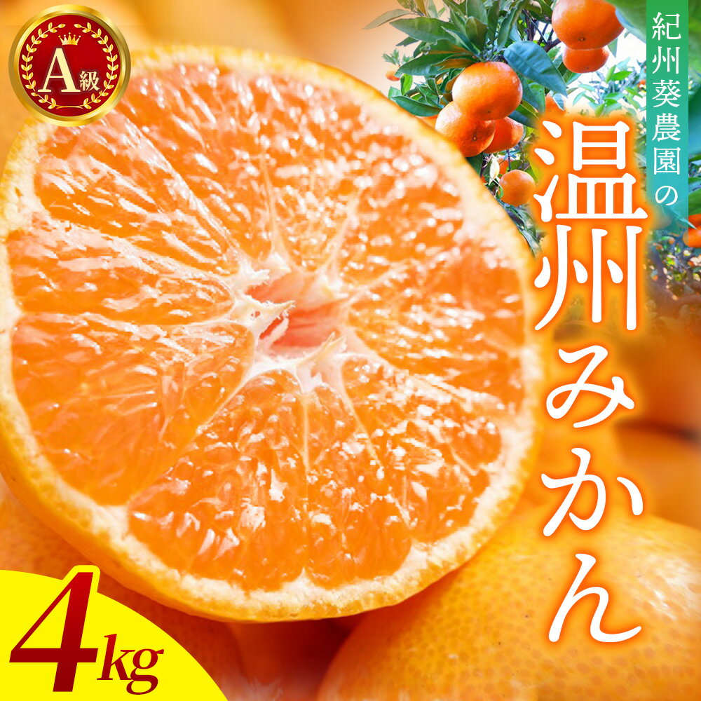 ＼先行予約/ 温州みかん 4kg A級(サイズ混合)[2025年11月上旬頃より順次発送] / 温州ミカン ミカン カンキツ オレンジ 和歌山 田辺市 紀州 くだもの 柑橘 フルーツ