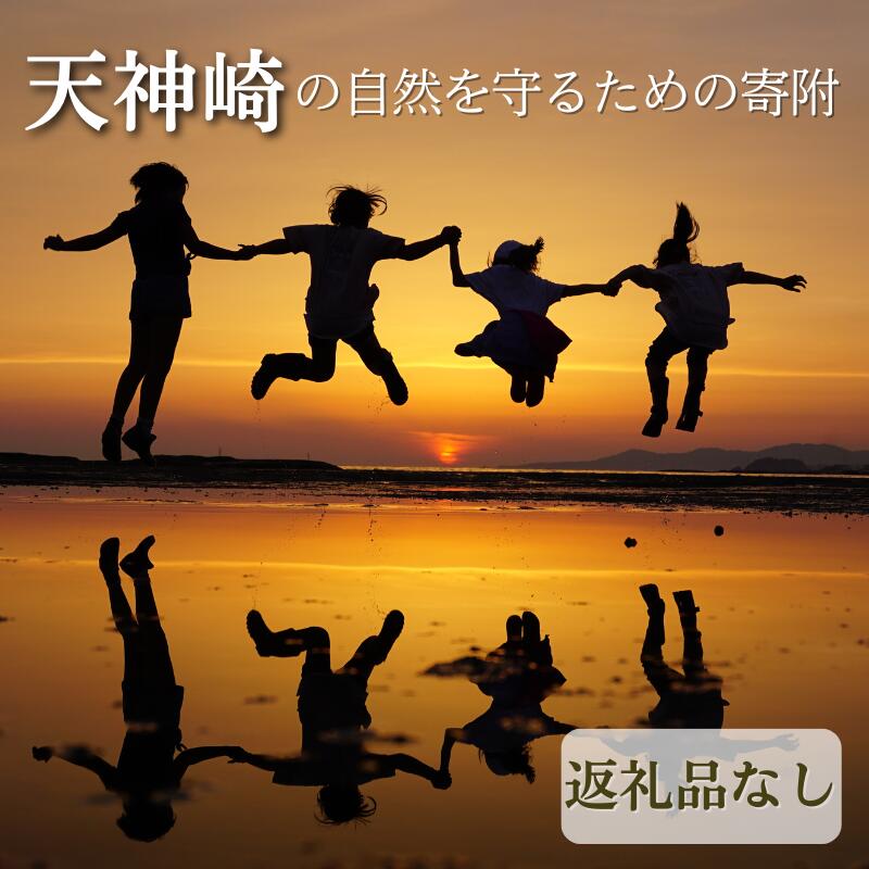 [返礼品なし]天神崎の自然を守るための寄附(寄附のみの受付となります)/ 田辺市 和歌山県 天神崎 自然 海 環境保護