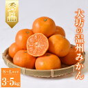 【ふるさと納税】 【予約】大坊の温州みかん 3kg〜5kg Sサイズ Mサイズ Lサイズ ※2024年11月中旬〜12月下旬頃に順次発送予定【期間限定・数量限定...