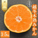 【ふるさと納税】 【予約】大坊の越冬木熟みかん 3kg〜5kg ※2026年1月上旬〜2月上旬頃に順次発送予定【期間限定・数量限定】 / みかん 蜜柑 大坊みか...