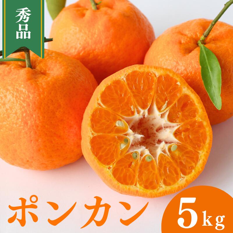 【ふるさと納税】 <先行予約>ポンカン【秀品】5kg ※2026年1月下旬~2月下旬頃に順次発送予定【期間限定・数量限定】 / ぽんかん 柑橘 季節限定 お取り寄せ 産地直送 贈答品 ギフト 果物 フルーツ 田辺市 和歌山県