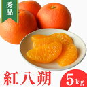 【ふるさと納税】 <先行予約>紅八朔【秀品】5kg ※2026年2月中旬〜3月中旬頃に順次発送予定【期間限定・数量限定】 / はっさく ハッサク 柑橘 季節限定...