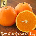 【ふるさと納税】 <先行予約>ネーブルオレンジ【秀品】5kg ※2026年3月上旬~4月上旬頃に順次発送予定【期間限定・数量限定】 / 柑橘 季節限定 お取り寄せ 産地直送 贈答品 ギフト 果物 フルーツ 田辺市 和歌山県