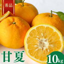 【ふるさと納税】 <先行予約>甘夏【秀品】10kg ※2026年4月中旬~5月中旬頃に順次発送予定【期間限定・数量限定】 / 柑橘 季節限定 お取り寄せ 産地直送 贈答品 ギフト 果物 フルーツ 田辺市 和歌山県