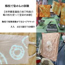【ふるさと納税】 梅枝で染物体験ができるペアチケット / 体験 手作り 染物 リラックス 和歌山 田辺市 チケット ペアチケット ハンドメイド