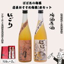 【ふるさと納税】 ばばあの梅酒 店長おすすめ梅酒2本セット(にごり梅酒 12度・梅酒原酒 20度) 各720ml / 和歌山 田辺市 紀州南高梅 南高梅 梅 梅...
