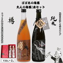 【ふるさと納税】 ばばあの梅酒 大人の梅酒2本セット(樽仕込み梅酒 20度・純米梅酒 13度) 各720ml / 和歌山 田辺市 紀州南高梅 南高梅 梅 梅酒 ...