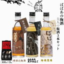 【ふるさと納税】 ばばあの梅酒 大人の梅酒3本セット(樽仕込み梅酒 20度・純米梅酒 13度・梅酒原酒 20度) 各300ml / 和歌山 田辺市 紀州南高梅 ...