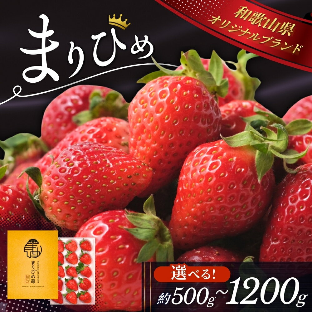 【ふるさと納税】 【先行予約】 いちご まりひめ 選べる容量 500g～1.2kg 【2025年12月頃から順次発送】 / いちご 苺 和歌山 果物 フルーツ 野菜 苺 冷蔵 冬 ギフト 贈答 ご家庭用 12月 1月 2月のサムネイル