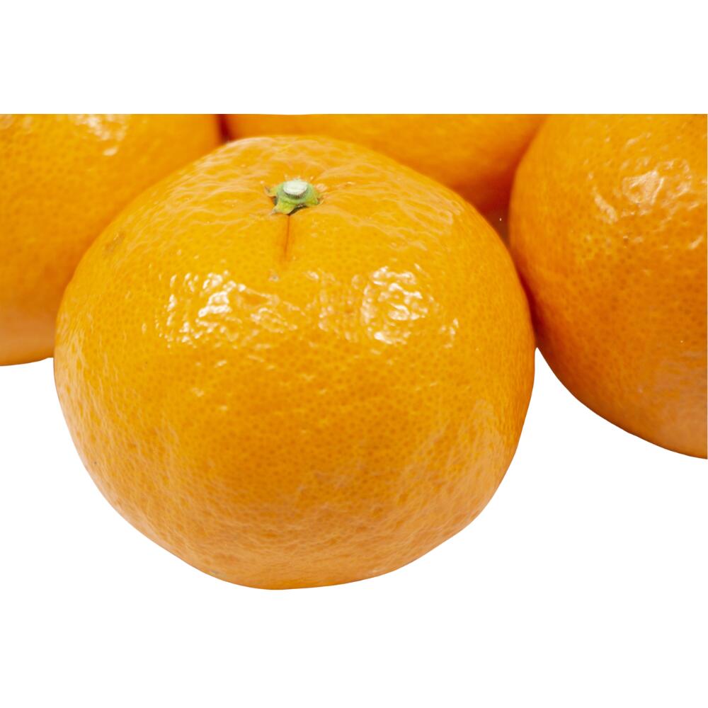 【ふるさと納税】 ＼先行予約／ 津の輝（つのかがやき）5kg（2027年2月以降順次発送予定） / みかん 津の輝 柑橘 かんきつ フルーツ 果物 紀州産 和歌山県 田辺市 f302066-tanabe-10002738 和歌山県田辺市 サンプル画像3