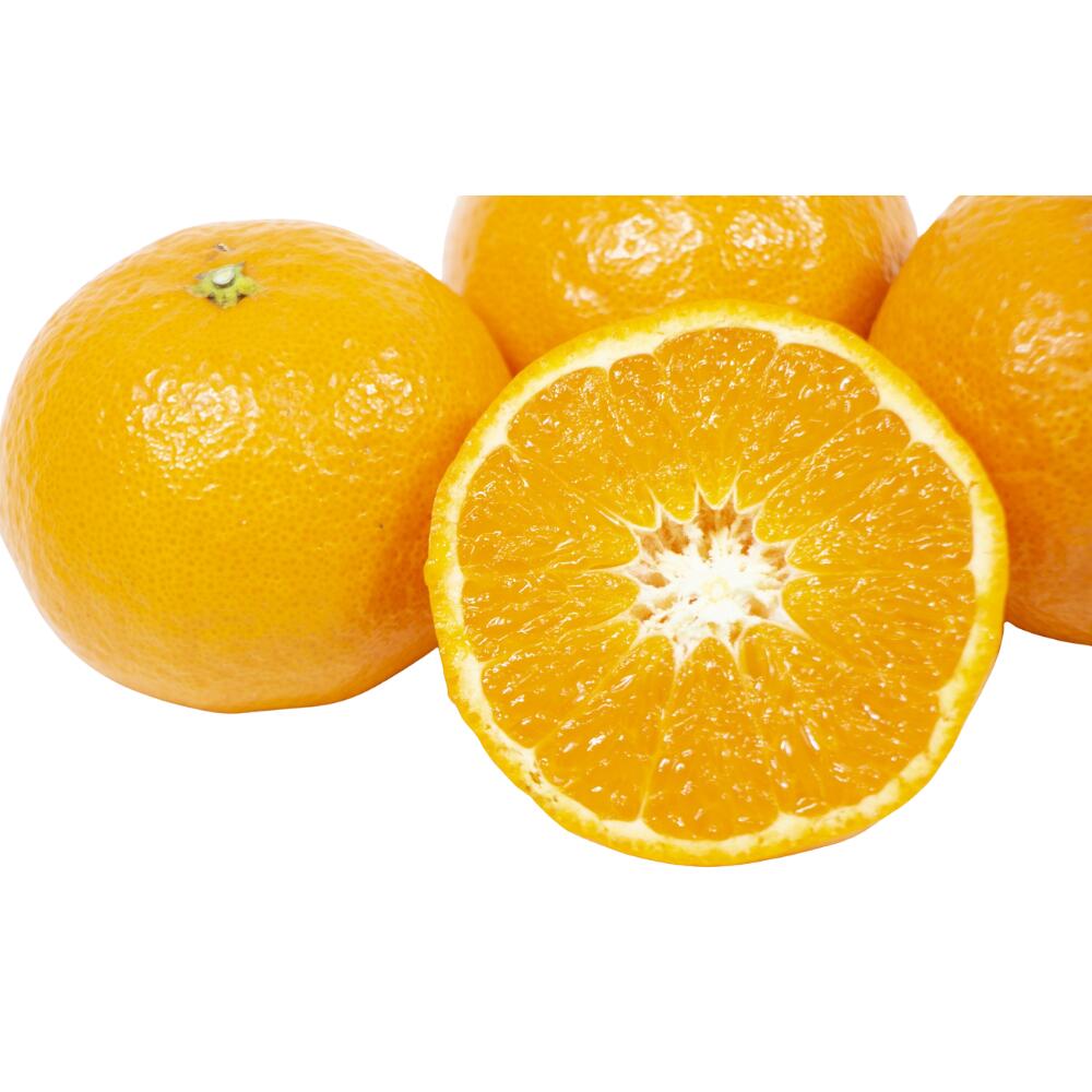 【ふるさと納税】 ＼先行予約／ 津の輝（つのかがやき）5kg（2027年2月以降順次発送予定） / みかん 津の輝 柑橘 かんきつ フルーツ 果物 紀州産 和歌山県 田辺市 f302066-tanabe-10002738 和歌山県田辺市 サンプル画像2
