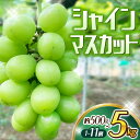 【ふるさと納税】 シャインマスカット 【選べる容量】 1房 2房 8~11房 / ぶどう マスカット 葡萄 ブドウ 田辺市 和歌山県