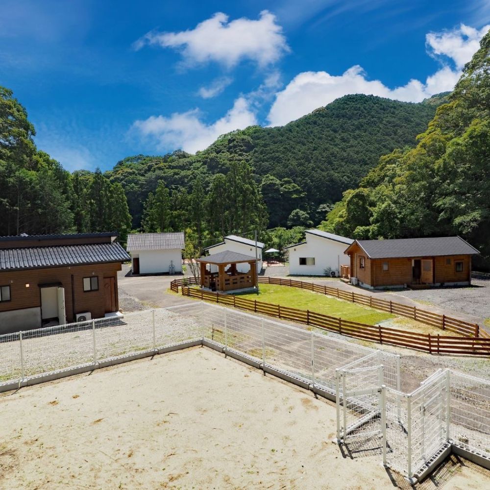 【ふるさと納税】愛犬と宿泊 グランピング DOG PALACE camp village 宿泊利用券300...