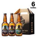 【ふるさと納税】田辺市唯一のクラフトビール3種類6本セット【地ビール：GOLD、COPPER、IPA】（330ml×6本）