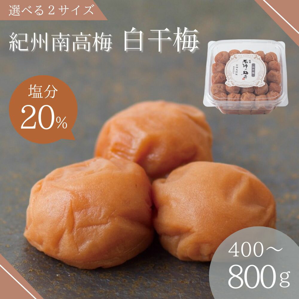 【ふるさと納税】白干梅（塩分20％）選べる容量 / 和歌山 田辺市 梅干し 梅干 梅 うめ 肉厚 お米 おに..