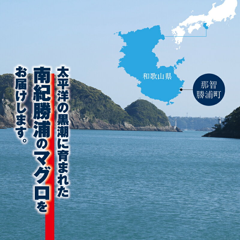 【ふるさと納税】まぐろ とろ煮(180g)化粧箱入り×6箱 まぐろ チャーシュー(1本約170g×2本)化粧箱入り×6箱 / まぐろ丼 お刺身 カット済み チャーシュー スライス 漬け 小分け 天然マグロ キハダマグロ 簡単調理 おかず ご飯のお供 南紀勝浦産