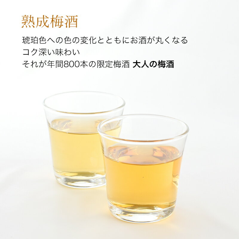 【ふるさと納税】 3年熟成 幻の梅酒 熊野伝説720ml 【白】