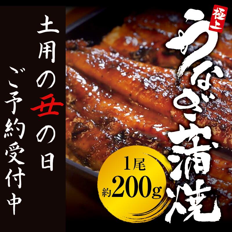土用の丑の日予約 国産うなぎ蒲焼 1尾(約200g) 創業100年以上続く老舗 紀州備長炭でじっくり焼き上げた専門店極上の味 (タレ・山椒付き) 予約受付/ うなぎ ウナギ 鰻 蒲焼 国産 ふるさと納税