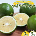 【ふるさと納税】 数量限定 マイヤーレモン 3kgまたは5kg 【2025年10月~2026年1月下旬の期間で順次発送】/ レモン 国産 マイヤーレモン 数量限定