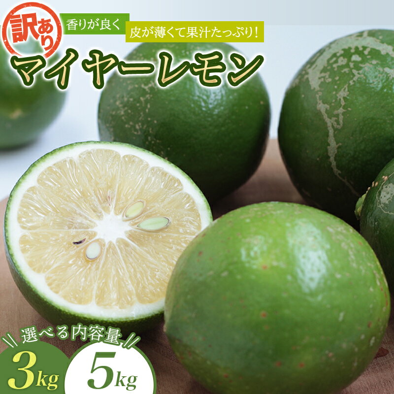 【ふるさと納税】 訳あり 国産 数量限定 マイヤーレモン 3kgまたは5kg 【2025年10月〜2026年1月下旬の期間で順次発送】 / レモン 国産 マイヤ...