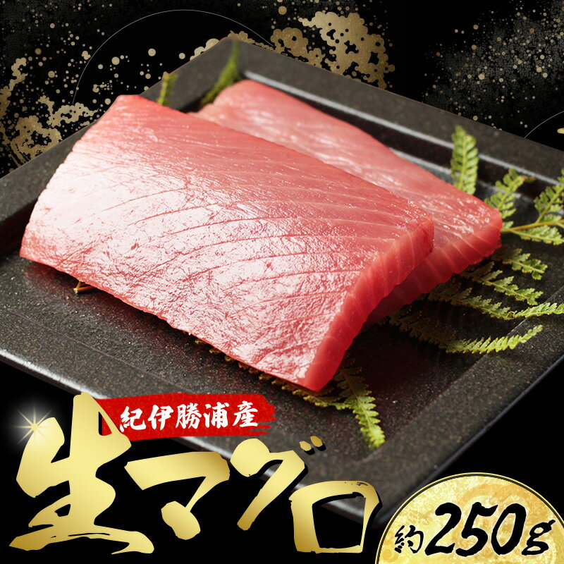 【ふるさと納税】産地直送！ 紀伊勝浦産 天然生マグロ 約250g(1柵) 冷蔵便 ※ビンチョウ・キハダ・メバチのいづれかをお届け まぐろ マグロ 鮪 生マグロ 刺身 柵 海鮮 海の幸 魚 魚介 新宮市