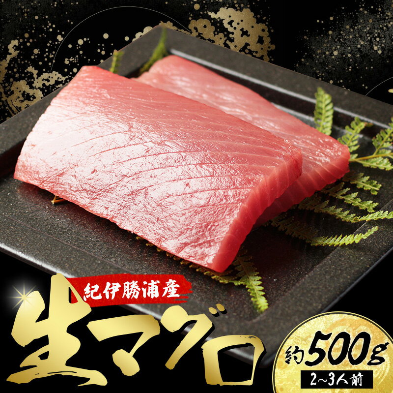 【ふるさと納税】産地直送！ 紀伊勝浦産 天然生マグロ 約500g(2～3柵) 冷蔵便 ※ビンチョウ・キハダ・メバチのいづれかをお届け まぐろ ..