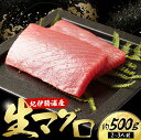 産地直送！ 紀伊勝浦産 天然生マグロ 約500g(2～3柵) 冷蔵便 ※ビンチョウ・キハダ・メバチのいづれかをお届け まぐろ マグロ 鮪 生マグロ 刺身 柵 海鮮 海の幸 魚 魚介 新宮市