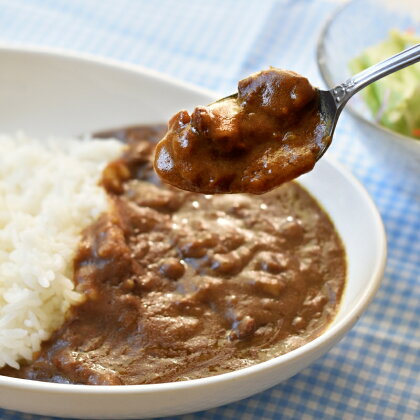 熊野牛の牛すじを使ったこだわりの手作りカレー 200g×4袋/カレー 肉 牛 牛すじ 熊野牛 ブランド 和牛 高級和牛 冷凍 通年 手作り うまい 逸品 おかず 牛すじカレー