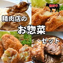 【ふるさと納税】 素材と手作りにこだわった 精肉店のお惣菜Mixセット (カレー:3袋、ハンバーグ:3袋、コロッケ:5個×1袋、牛すじコロッケ:5個×1袋、メンチカツ:3個×2袋)/ コロッケ メンチカツ カレー カレーライス ハンバーグ 揚げ物 惣菜 お惣菜 おかず