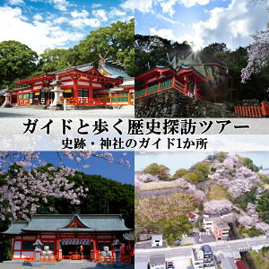 【ふるさと納税】新宮市 ガイドと歩く歴史探訪ツアー 選べる史跡・神社など1カ所 / 熊野 世界遺産 天然記念物 自然 神社