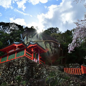 【ふるさと納税】新宮市 ガイドと歩く歴史探訪ツアー 選べる史跡・神社など1カ所 / 熊野 世界遺産 天然記念物 自然 神社