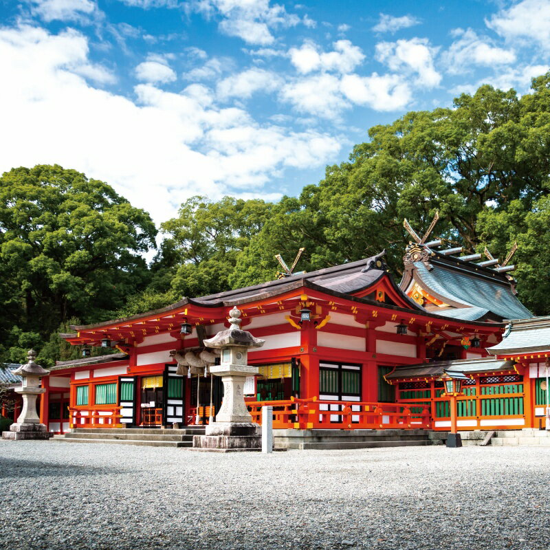 【ふるさと納税】新宮市 ガイドと歩く歴史探訪ツアー　選べる新宮の魅力巡り / 熊野 世界遺産 天然記念物 自然 神社