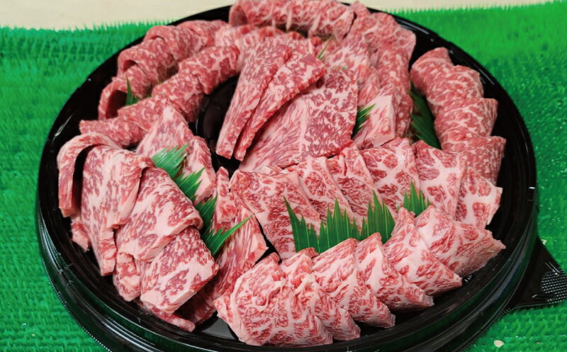 【ふるさと納税】プレミアム熊野牛焼肉用　たっぷり約480g / 牛肉 肉 牛 焼き肉 和牛 牛 贈り物