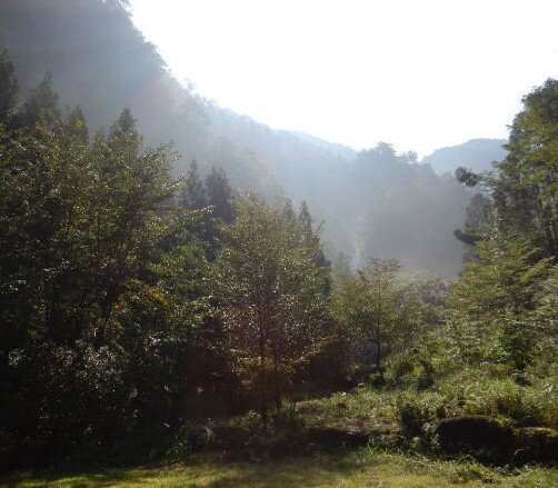 和歌山県新宮市の画像2