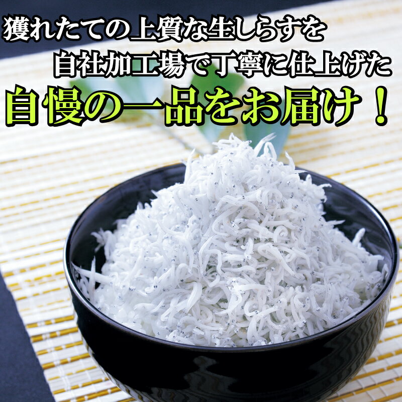 【ふるさと納税】天然プリプリなしらすをお届け！ 釜揚げしらす1kg（箱入り） しらす シラス 釜揚げしらす ちりめん セット 魚