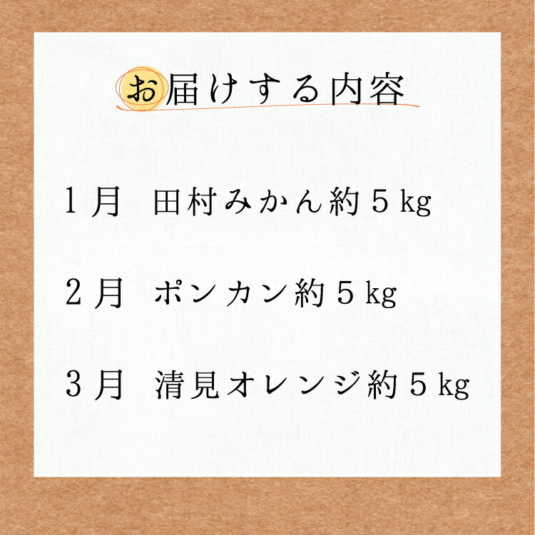 【ふるさと納税】【3か月定期便】人気の柑橘を集めた！みかんの定期便