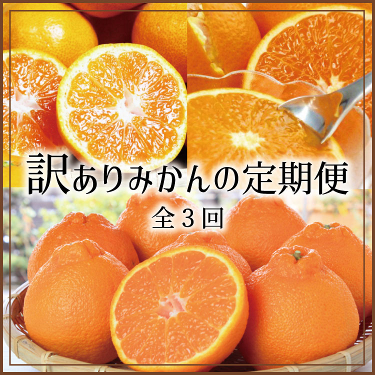 ڤդ뤵Ǽǡۡ3ءۤäפϤߤ
