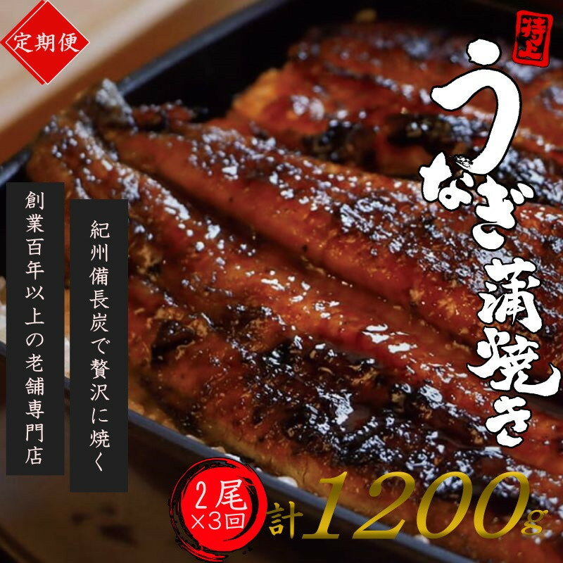【ふるさと納税】 【全3回定期便】極上！国産うなぎ蒲焼 2尾×3回 計6尾 約1200g 創業100