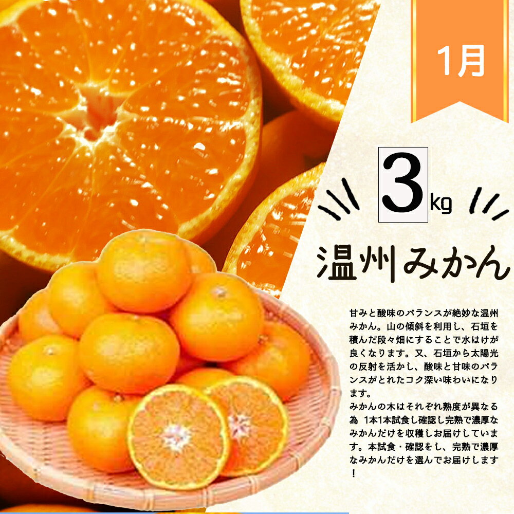 【ふるさと納税】【4か月定期便】旬の柑橘定期便 / みかん ミカン 柑橘 オレンジ 果物 くだもの フルーツ フルーツ定期便 和歌山【tkb416】