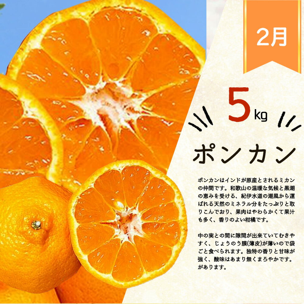【ふるさと納税】 【3か月定期便】人気のみかんを集めた！旬の柑橘定期【田村みかん・ポンカン・清見オレンジ】