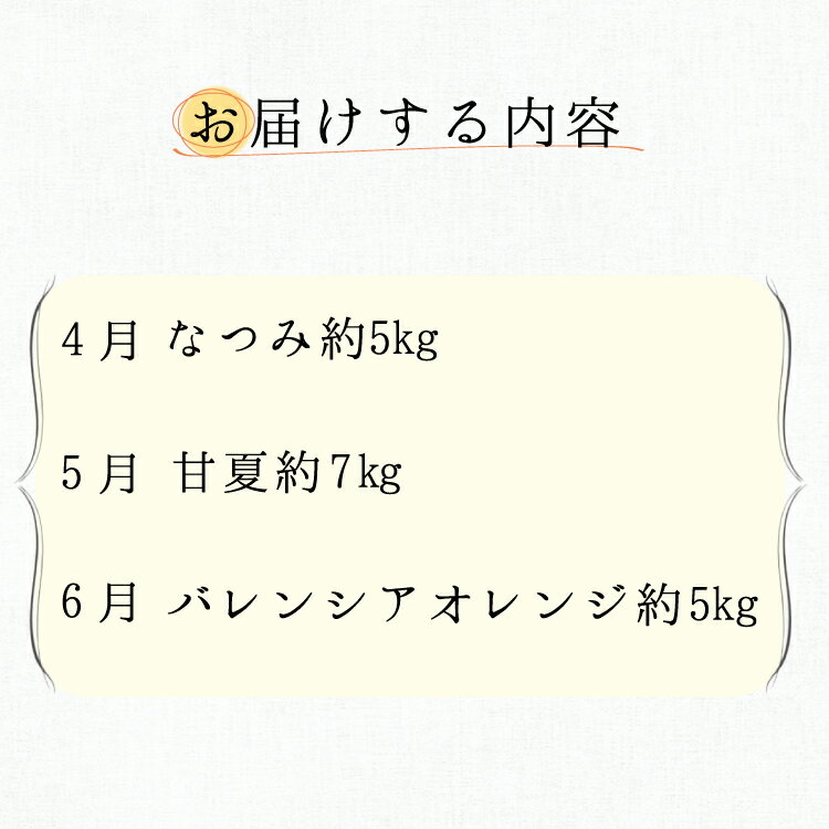 【ふるさと納税】【3か月定期便】初夏にお届け！旬のみかん定期便