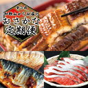 【ふるさと納税】 【全3回定期便】和歌山からお届け おさかな定期便 サバ・ウナギ・サケ